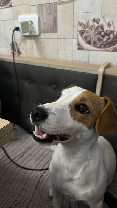 Дівчинка з документами