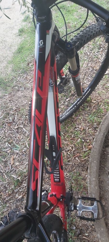 Scott scale carbono 29r
