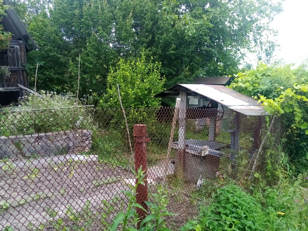 Продаж дачної ділянки,село Рибне