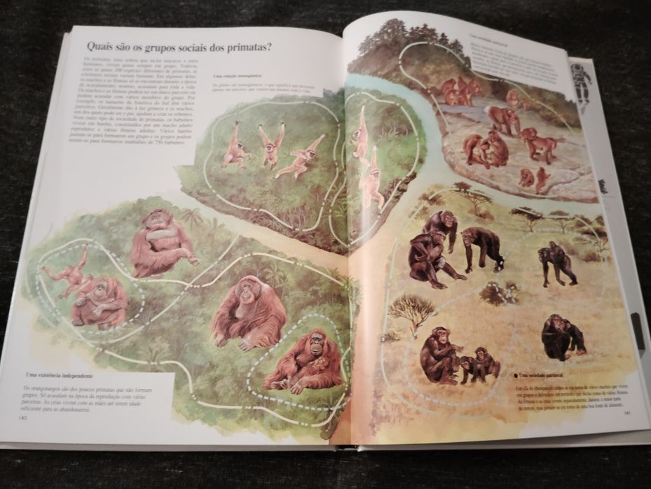 Livro O Comportamento dos Animais Usado