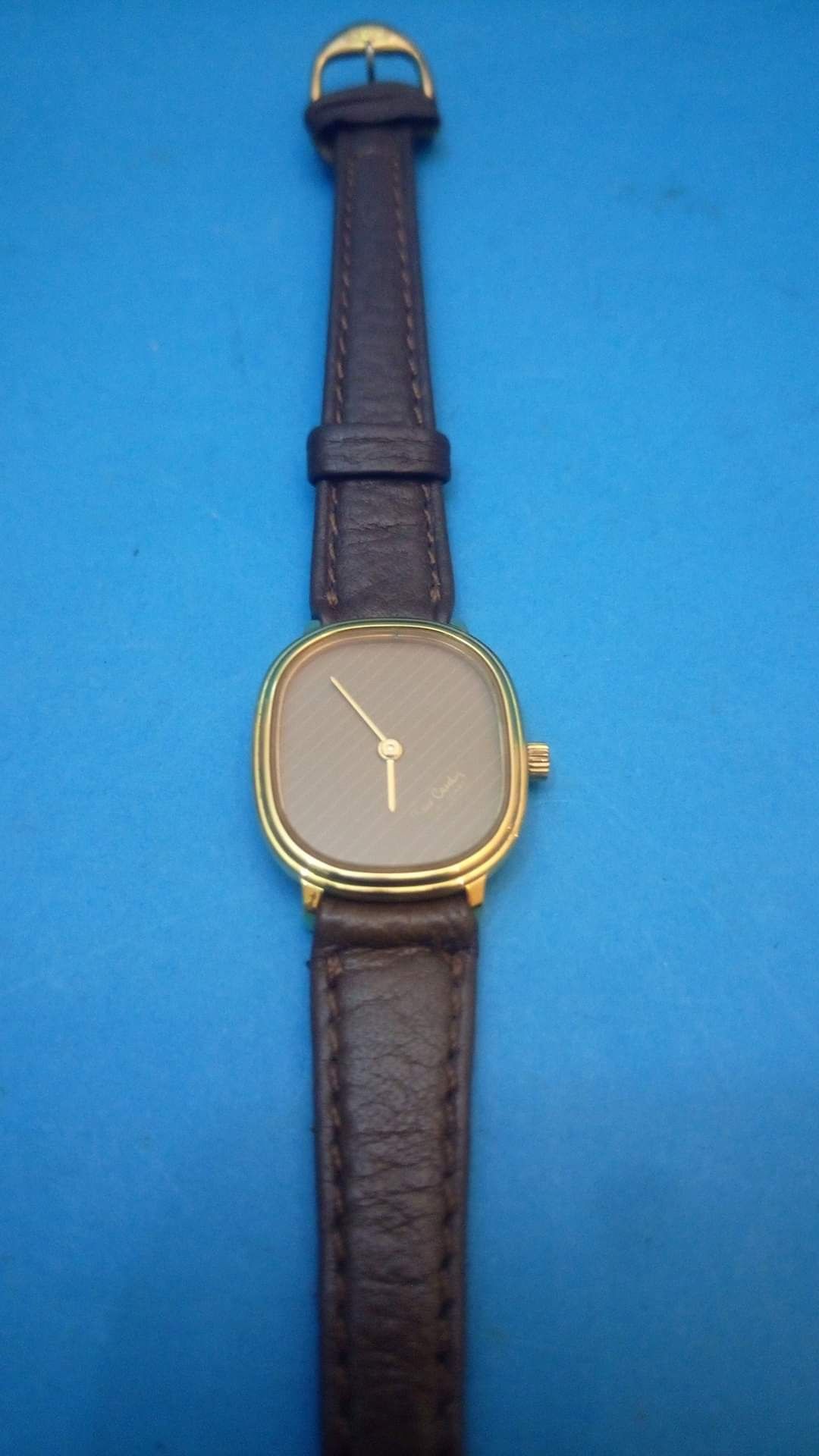 Relógio de pulso Pierre Cardin modelo 572, NOVO, a funcionar. Caixa em
