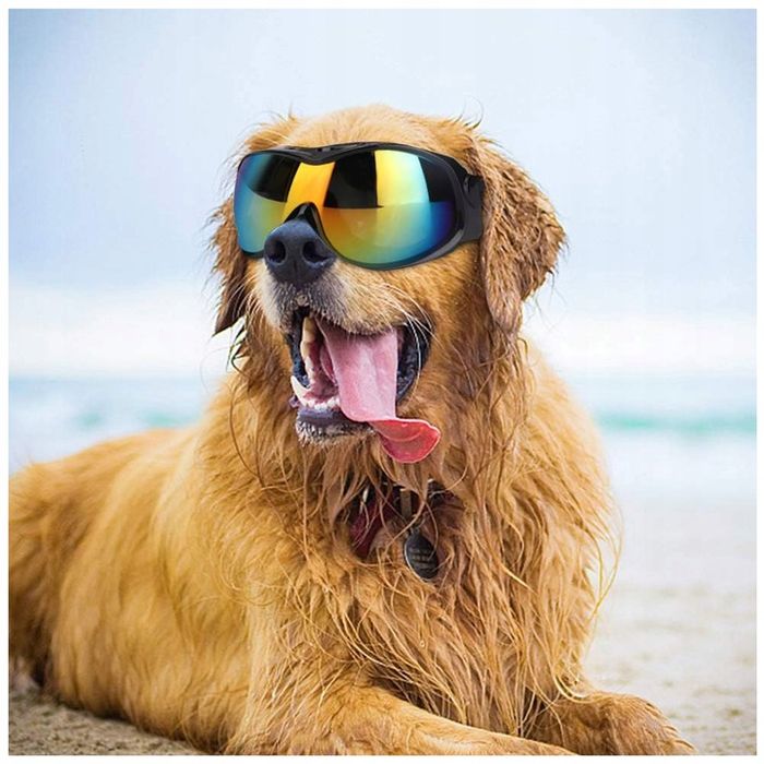 Okulary Gogle Przeciwsłoneczne Dla Psa Narciarskie Anty Uv Na Gumce +