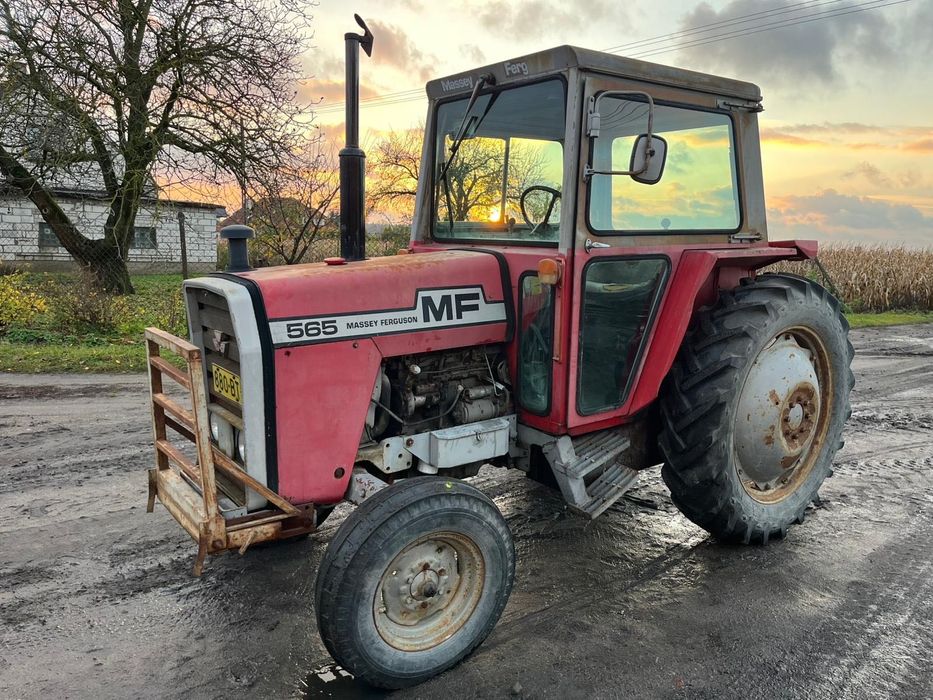 Ciągnik Rolniczy Massey Ferguson MF 565 4-Perkins Sprowadzony 3683-mtg