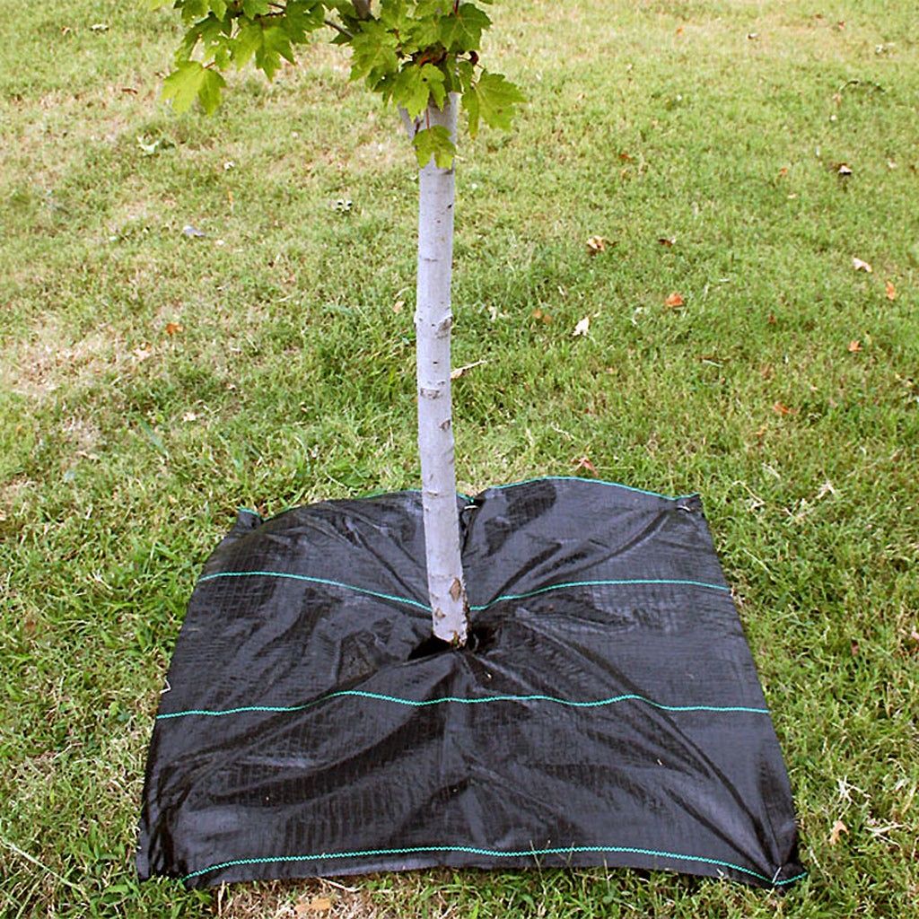 Tela anti ervas em varias cores. Preta, branca, verde e castanha.