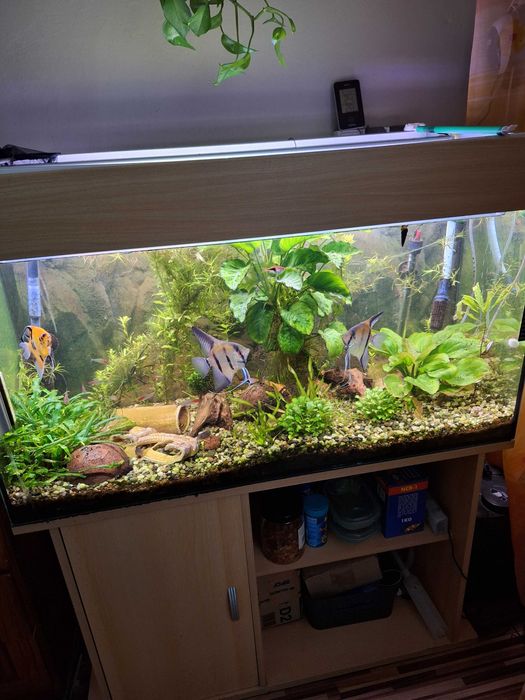 Akwarium 200l 100x50x40