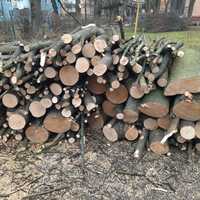 Продам дрова (метровкі) з твердих порід.