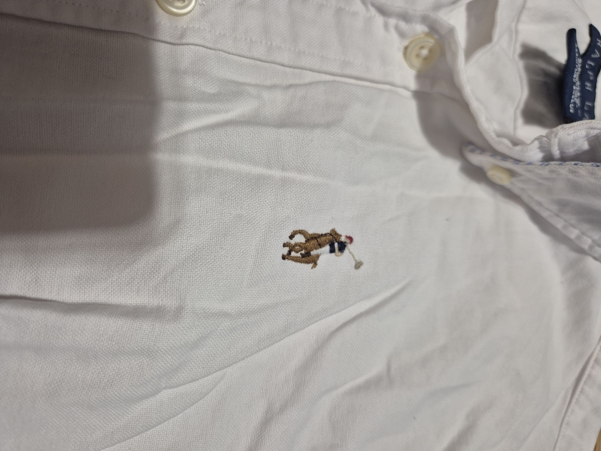Koszula, koszulka, Ralph Lauren, Tommy Hilfiger