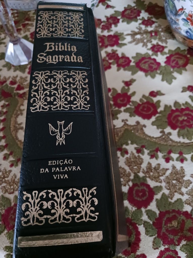 Bíblia Sagrada de Religião Cristã nova