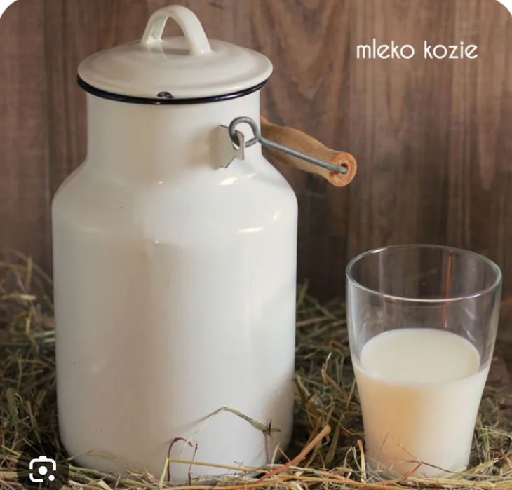 Mleko kozie od kozy Anglonubijskiej