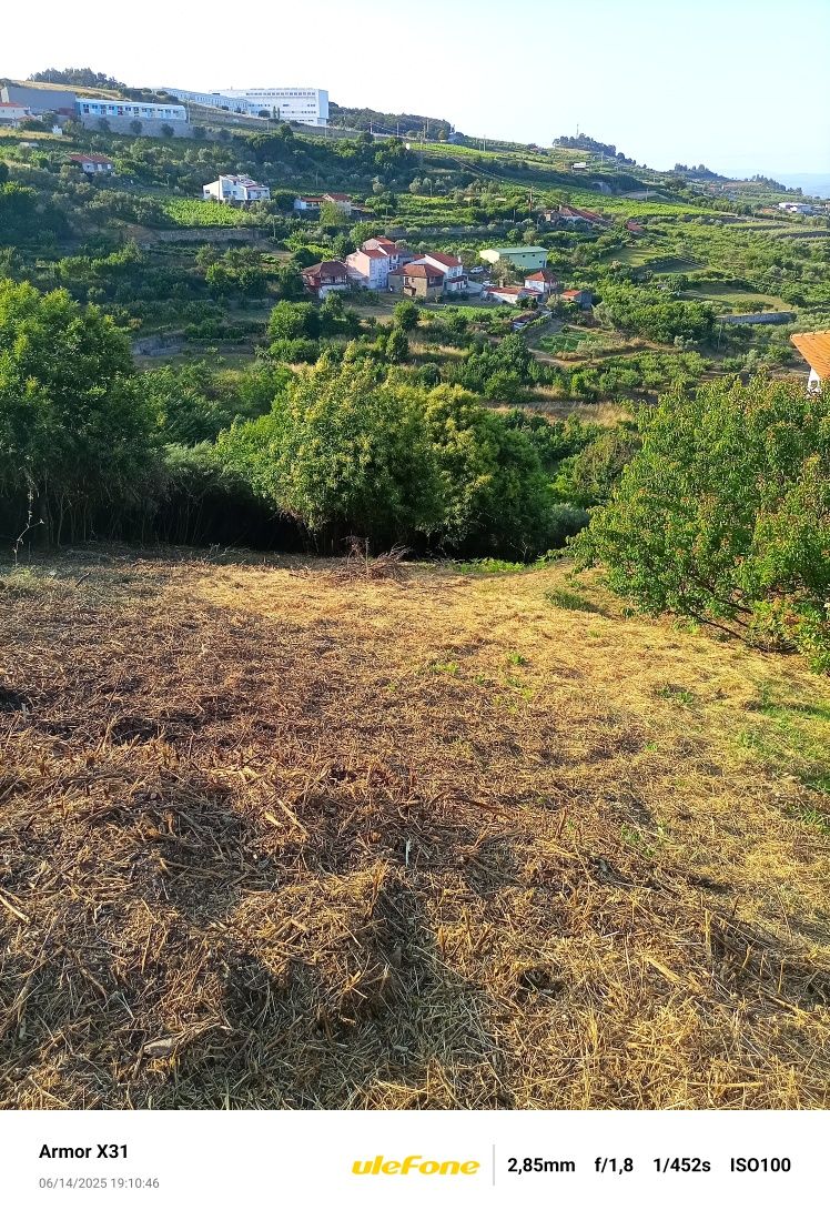 Limpezas de jardins e terrenos