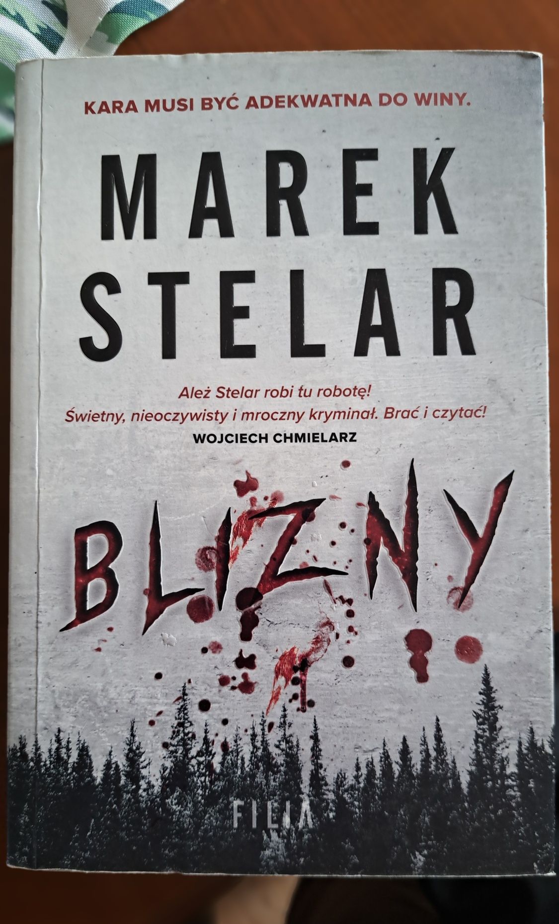 Książka "Blizny", Marek Stelar