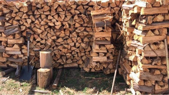 Lenha seca eucalipto e pinho