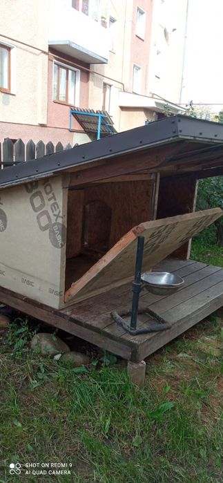 Продам собачу буду