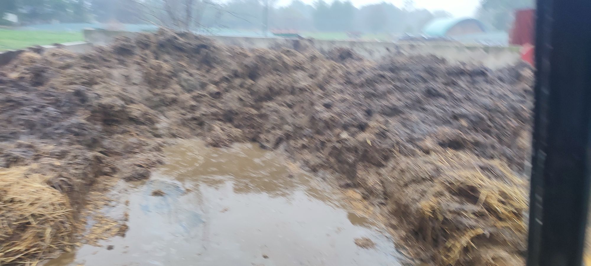 Obornik bydlęcy krowi dostawy tresciwy