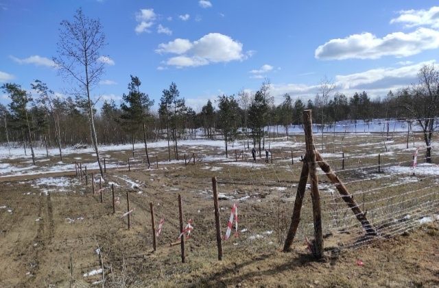 Ogrodzenie budowlane, ogrodzenie tymczasowe, ogrodzenie leśne