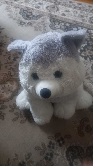 Maskotka, Pluszak, Husky, pies, miś