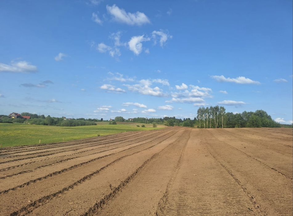 MulczerLeśnyWgłębnyWycinkaDrzewSamosiewówPraceZiemneUsługiKoparką