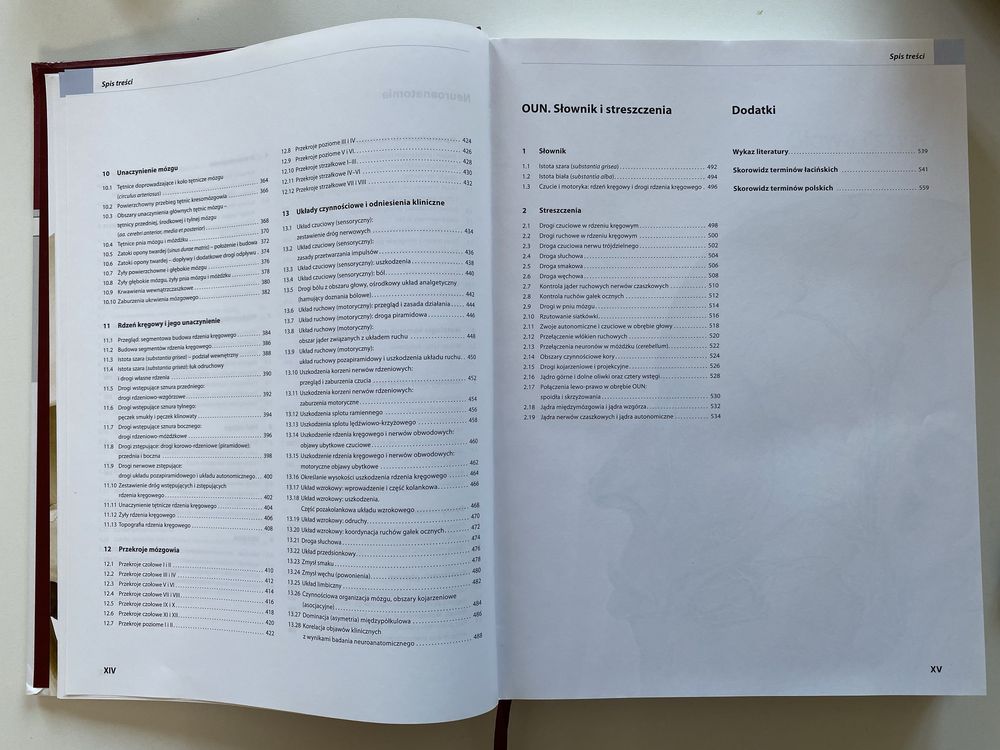 Prometeusz Atls anatomii. Głowa, szyja i neuroanatomia