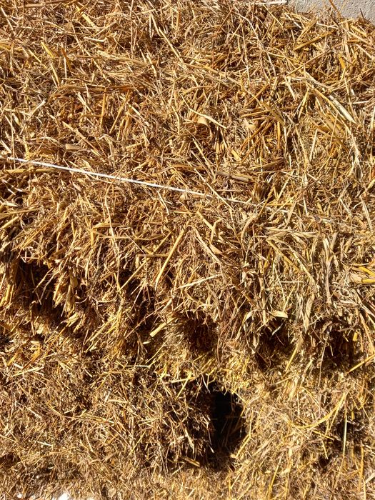 Sprzedam słomę  z przenżyta i owsa żyta