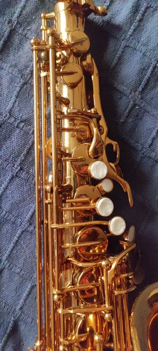Sax alto Startone