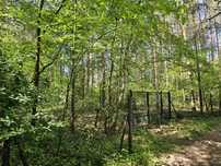 Działka pod lasem 1023 m2 w Rosanowie