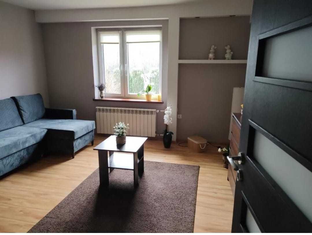 Apartament u Zajączka