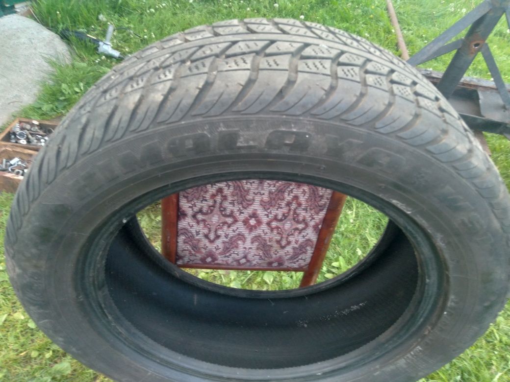 Шина покришка HIMALAYA WS1 205/55/R16/91H