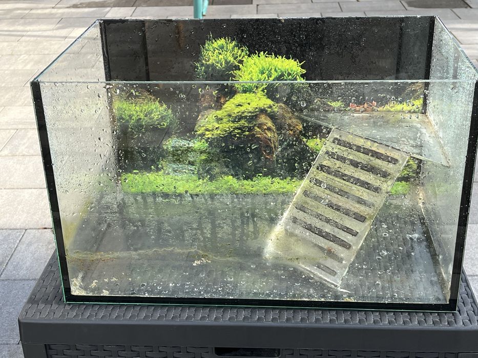 Terrarium dla żółwia.