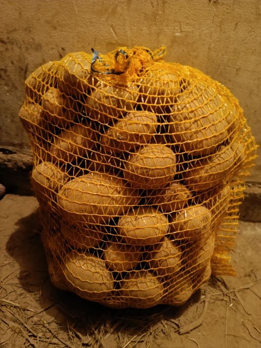 Ziemniaki Ignacy wysyłka