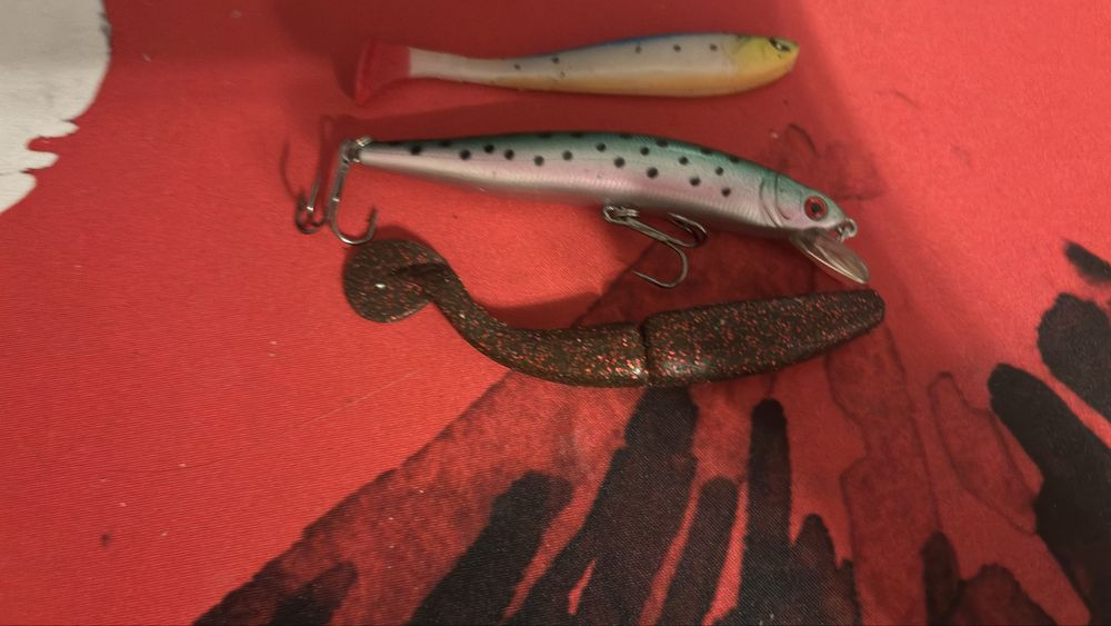 Multiplikator KASTKING + gratisy