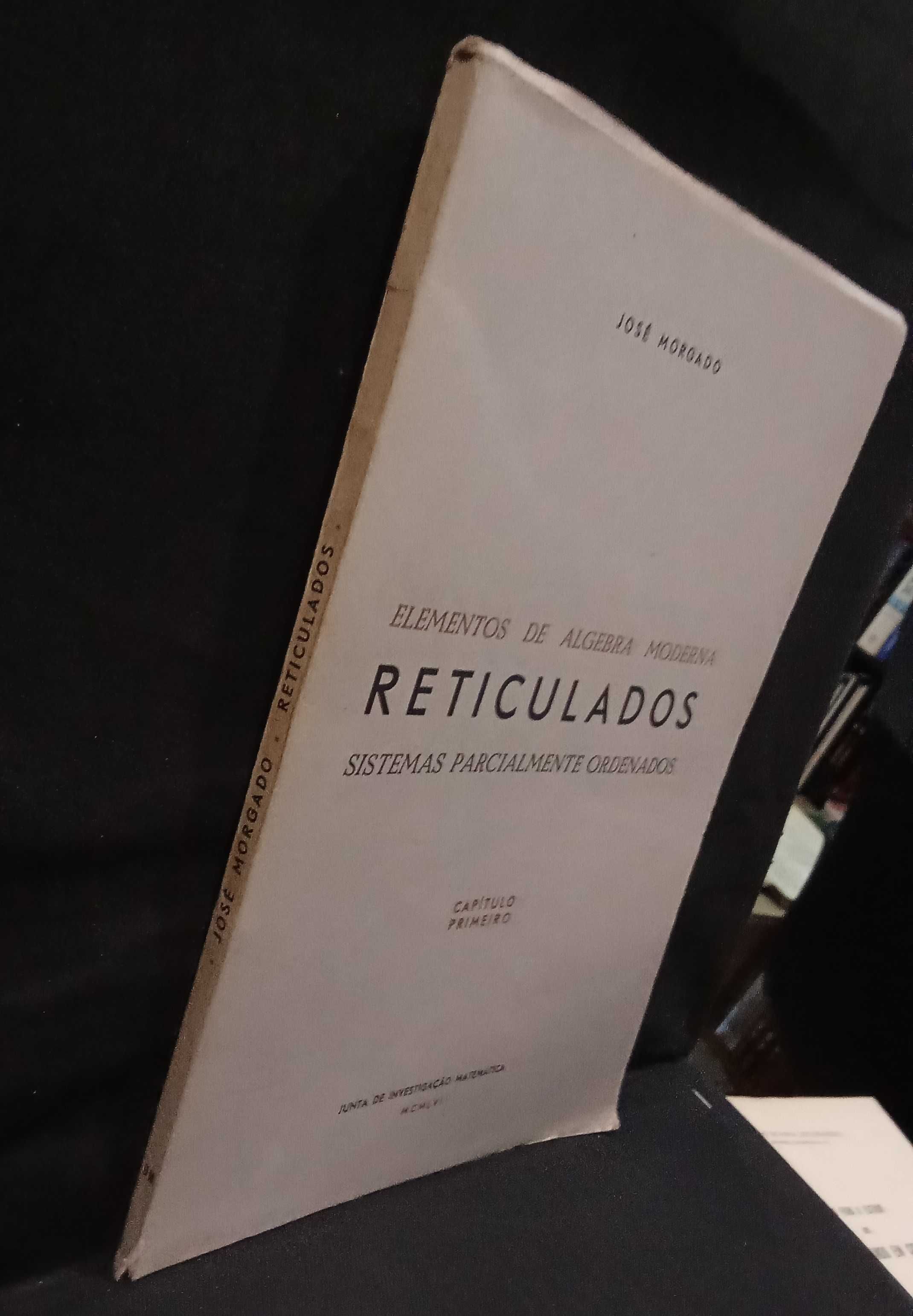 Reticulados - José Morgado (Capítulo Primeiro)