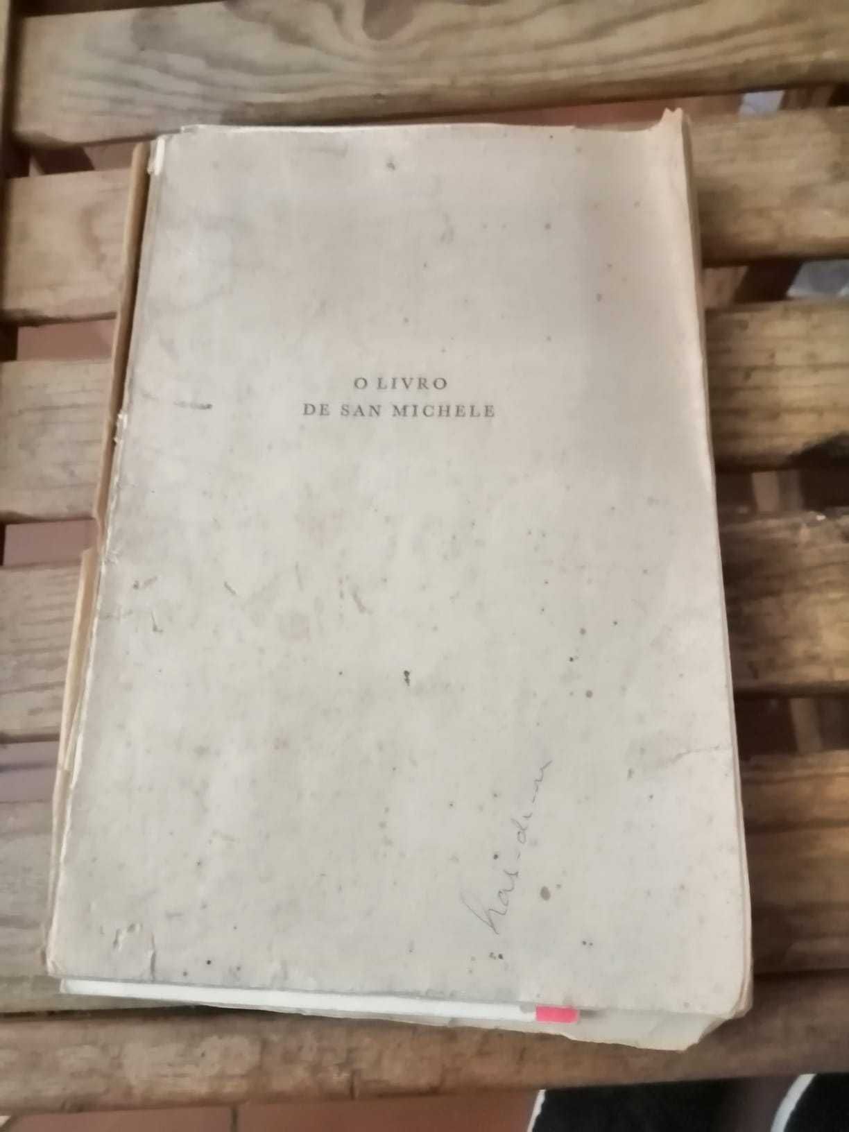 o livro de san michele