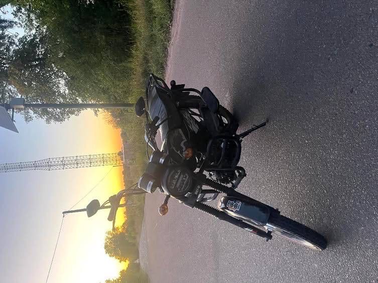 Альфа мустанг 110 куб