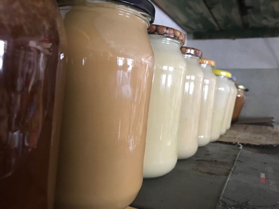 Miód naturalny z własnej pasieki. Różne rodzaje 1,3kg KOSZALIN