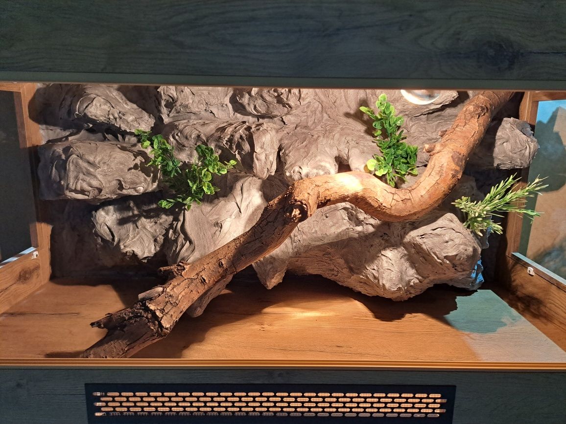 Terrarium 120x60x60