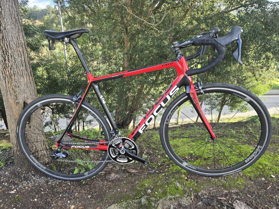 Focus cayo L 11x2v como nova