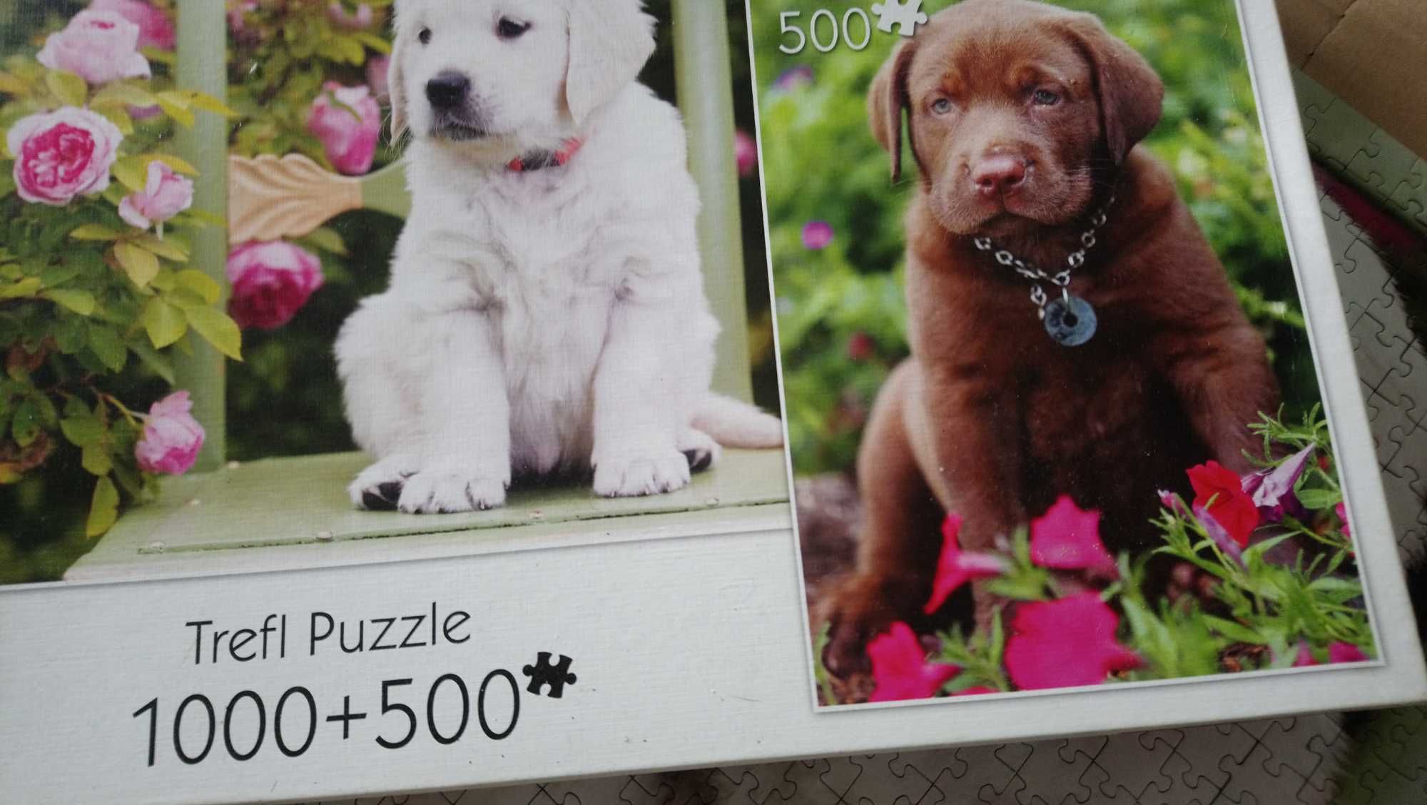 Puzzle szczeniaki labrador 1000+500