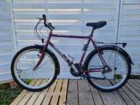 Rower męski Mountain Bike