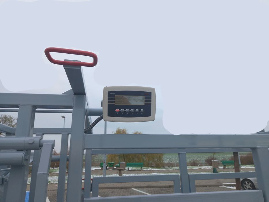 Klatka dla bydła, poskrom