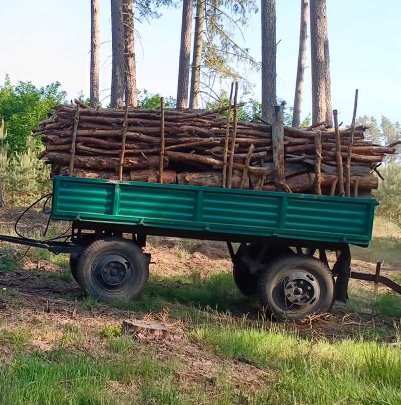 Drewno opałowe sosna świerk w całości lub pocięte i porąbane