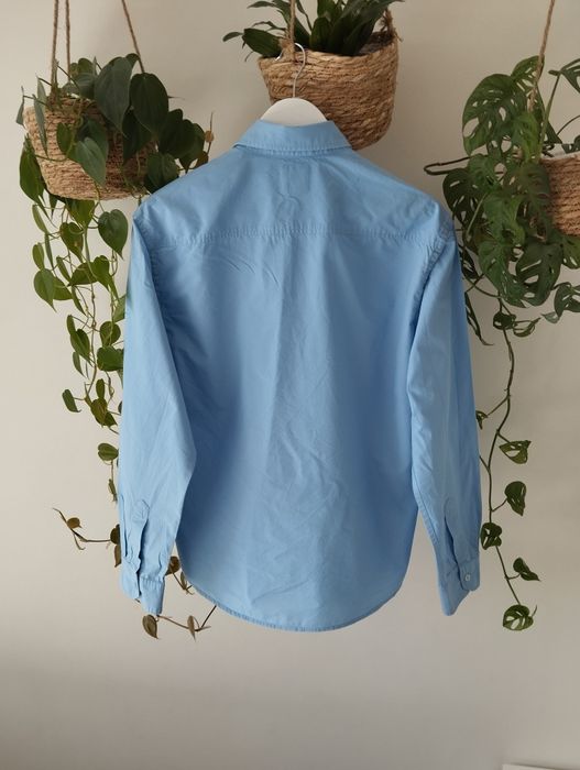 Niebieska, błękitna, koszula męska, 100% bawełna r.M/L s. Olivier