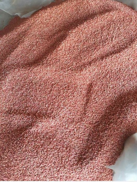 Посівна  пшениця Самурай ячмінь