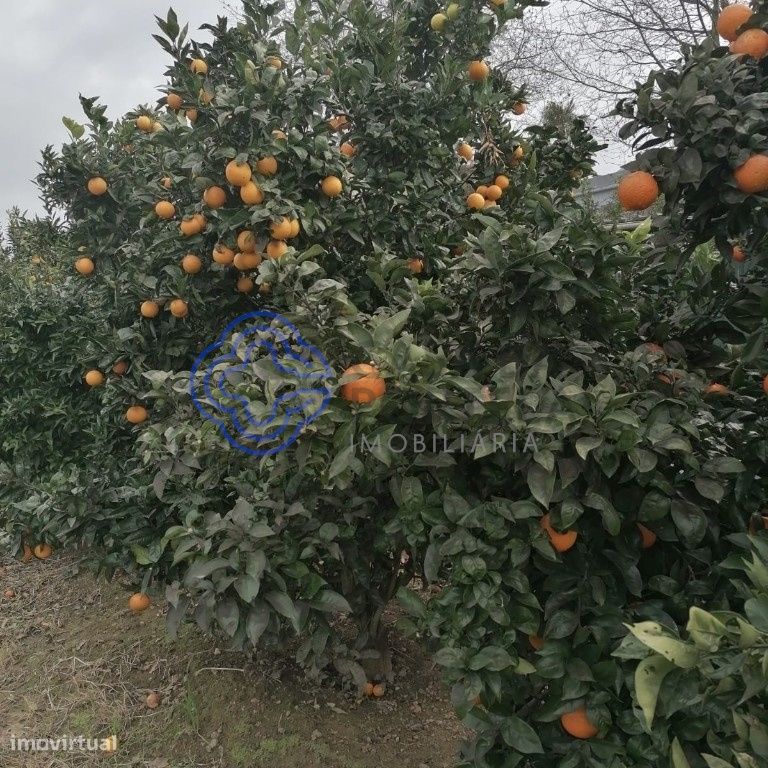 Terreno em Ermesinde com 4.000m2