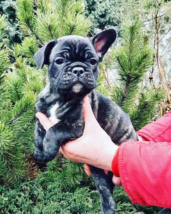 Мальчик в продаже )