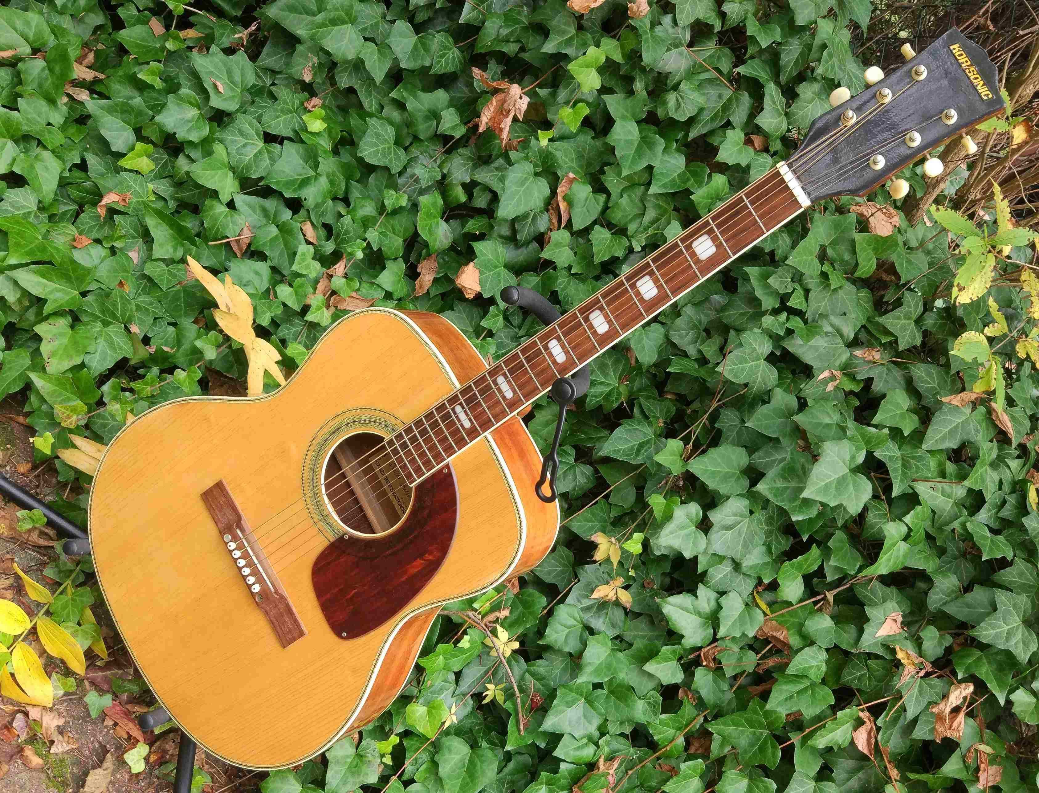 Gitara akustyczna Kor/Sonic- mane in Japan