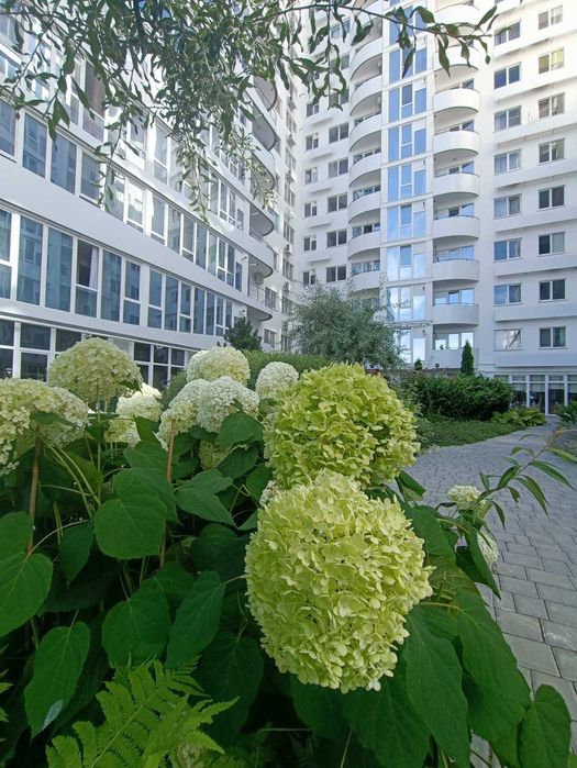 1-комнатная вблизи 13 Фонтана в престижном жк "Море" на Львовской