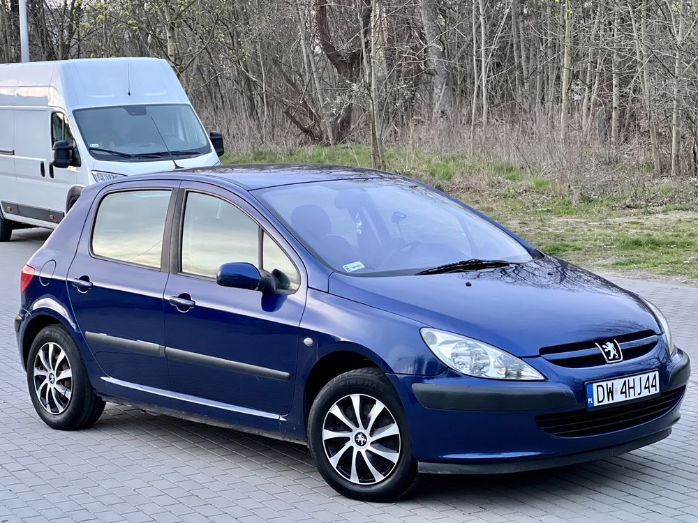 Peugeot 307 1.6 Benzyna 2004 Rok