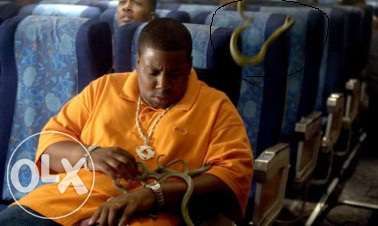 DVD Filme-Serpentes a bordo