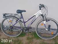 Rower dziecięcy Yazoo devil 26"