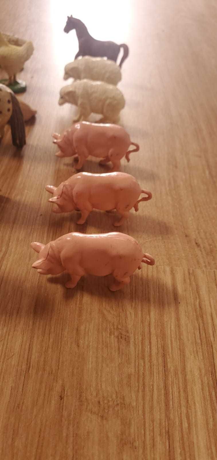 Conjunto de animais